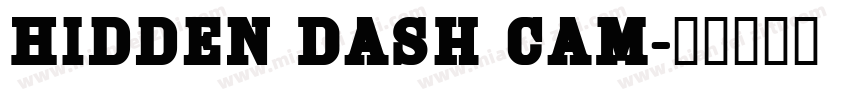 Hidden Dash Cam字体转换